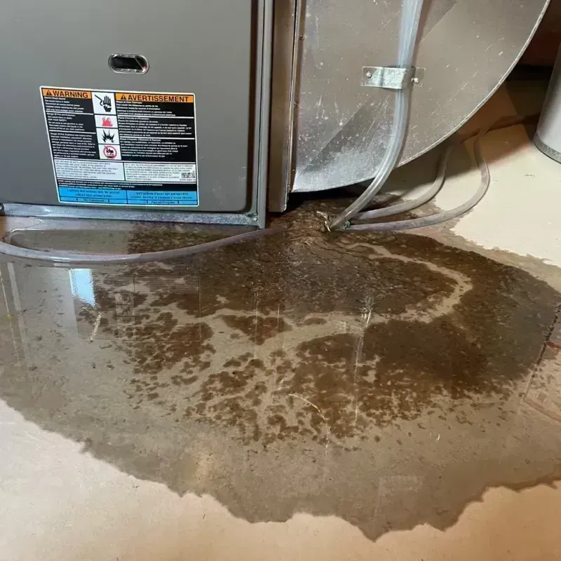 Appliance Leak Cleanup in Arthur, IL